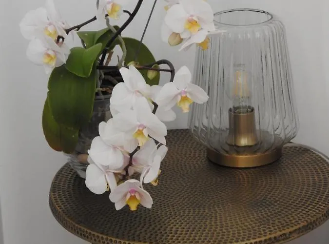 Madura Saint-Michel-Chef-Chef